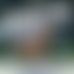 🤍It’s Time to Think About Summer Polo: A Season to Align