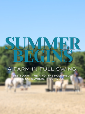 Hello, June: Summer Begins at Beverly