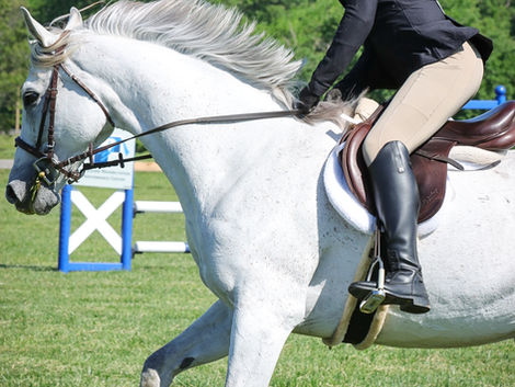 💫 Derby Field Spotlight: A Ring Built for You 💫