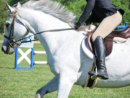 💫 Derby Field Spotlight: A Ring Built for You 💫