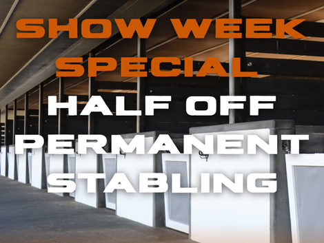 🐴 Premiere Week Special — Half Off Permanent Stabling✨
