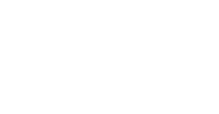image_kirakira_wh_05
