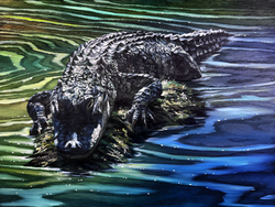 Sunbather Supreme 18x24