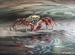 In a Pinch (18x24)