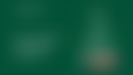 Merry Christmas and a Happy New Year