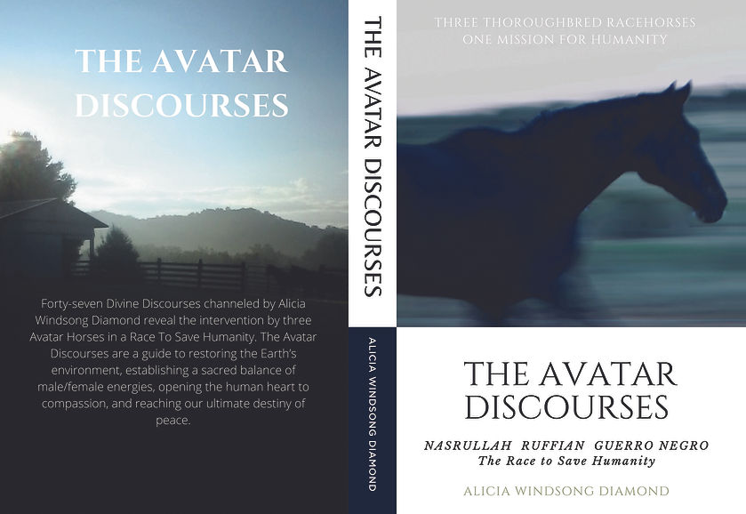 THE AVATAR BOOK cover.jpg