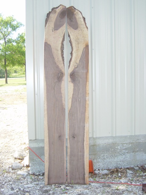 walnut5467.JPG
