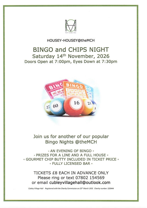 bingo poster november 2026.jpg