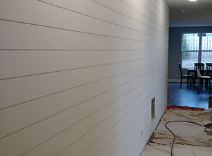 Chris Lempa Feature Panel Wall Vs2.png