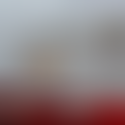 Roban lo robado, sustraen 211 vehículos al INDEP en Veracruz, algunos vehículos ya fueron reemplacados