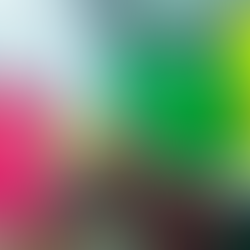 Gestores se manifiestan por cambios implementados en la Oficina de Hacienda