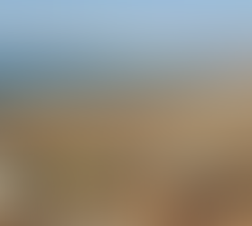 ONU alerta a Sheinbaum: Megaproyectos en Golfo de California ponen en riesgo a millones de personas