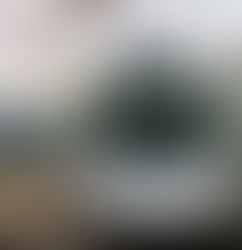 México compra 47 trenes a la francesa Alstom por 920 millones de euros: ¿Qué se sabe?