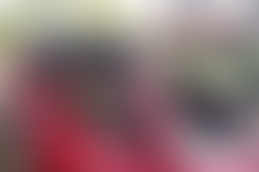 Elecciones en Veracruz sin mayores incidentes, mueren dos adultos mayores en casillas en Veracruz y Coahuila