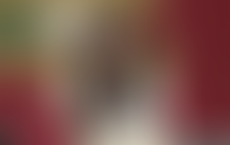 Diputada panista asume como presidenta de la Mesa Directiva de la Cámara de Diputados