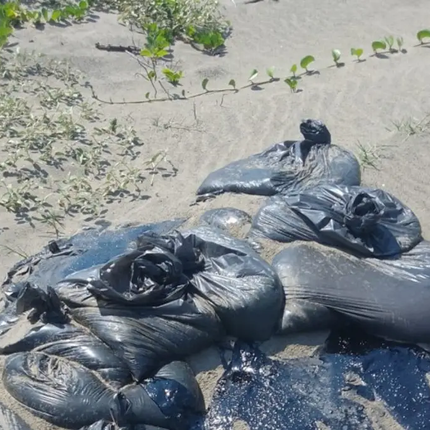 Denuncian que contaminación ambiental continúa en costa veracruzanas