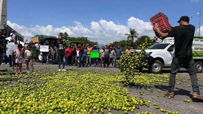 La célula de sicarios de Los Viagras, grupo criminal al que el gobierno federal le atribuye el asesinato del empresario limonero de Michoacán Bernardo Bravo Manríquez, goza de sólidas relaciones en el estado.