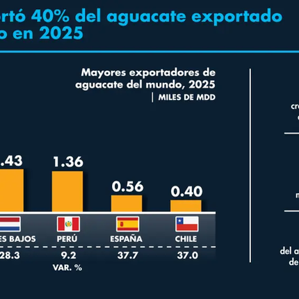 Exportaciones de aguacate batieron récord en 2025; México aportó 40% de la cuota mundial