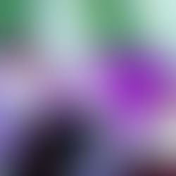 *Congreso, aliado de autoridades municipales para un buen desempeño*