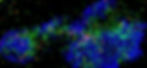 Micro_image_2_edited.jpg