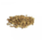 Cardamomo xkg - Munay