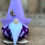 Thumbnail: Gnorbits- Lilac/purple