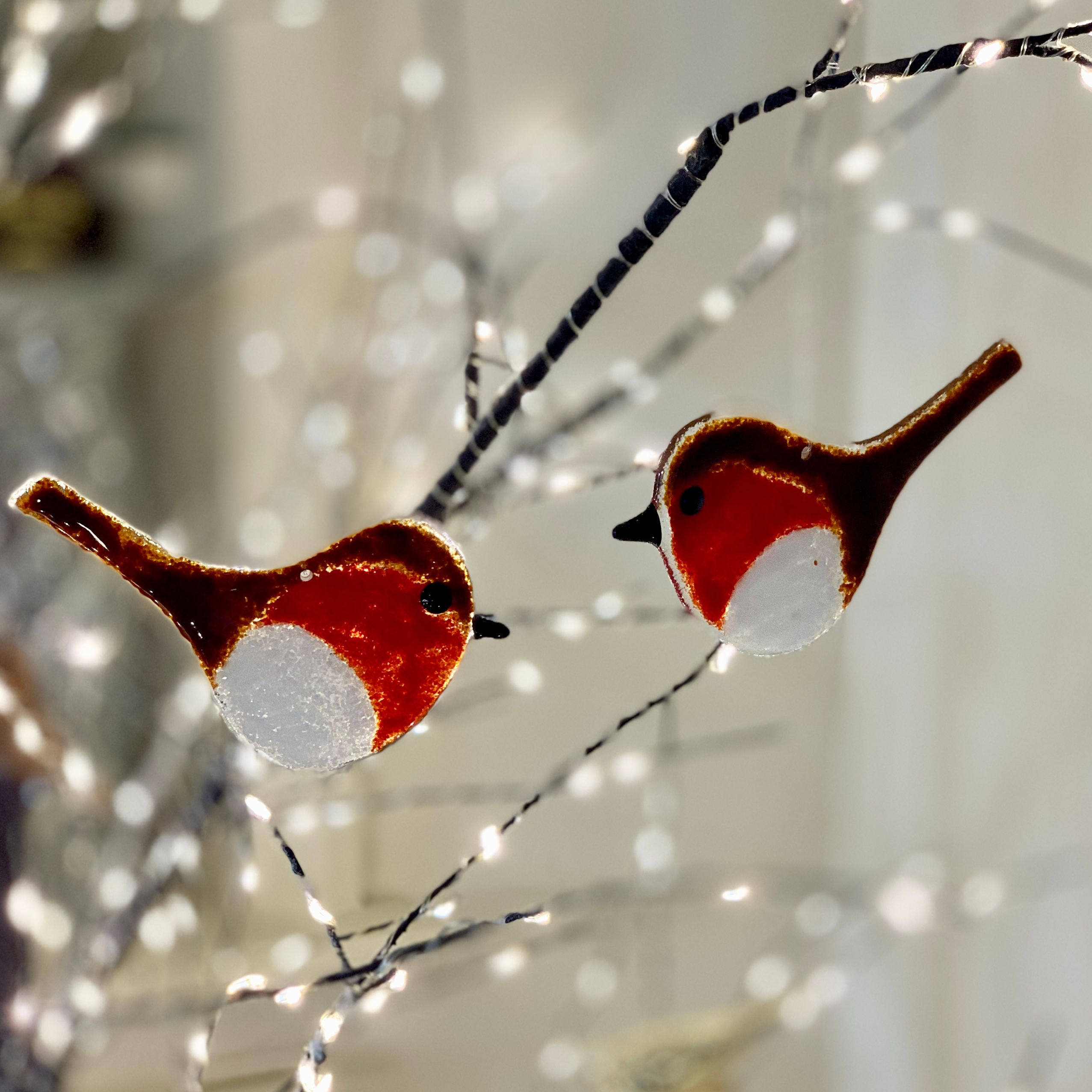 Robins - Fused glass 
