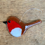 Thumbnail: Robins - Fused glass 
