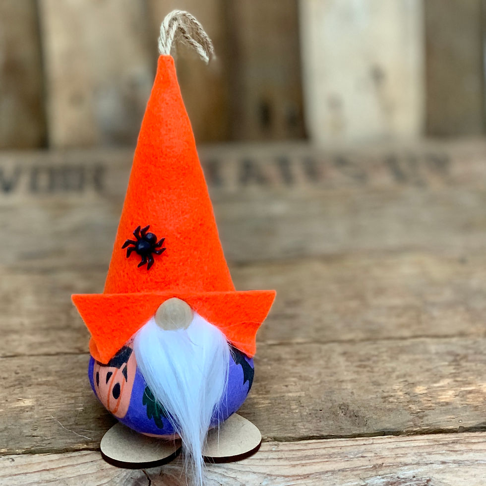 Thumbnail: Halloween Gnorbits- Spiders