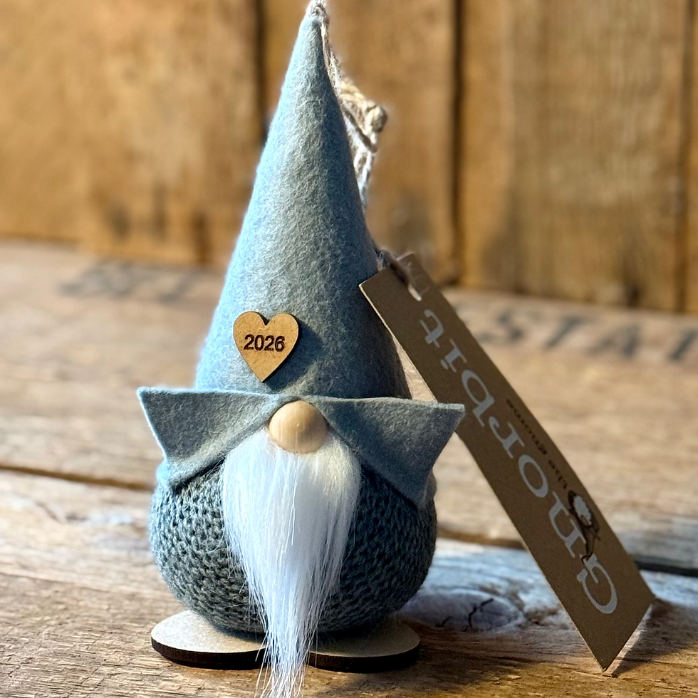 Thumbnail: New year Gnorbits 2026! 