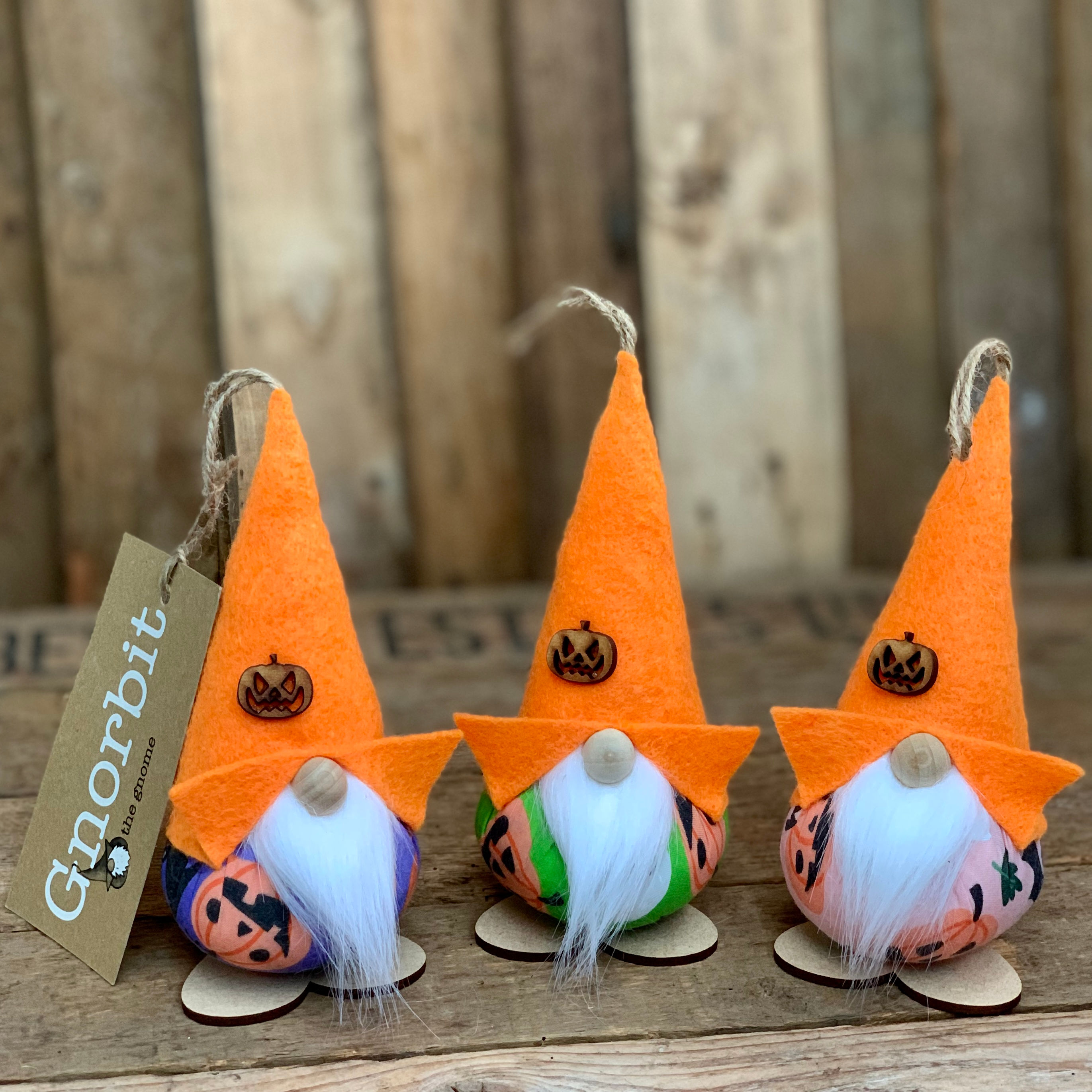 Halloween Gnorbits - Pumpkin