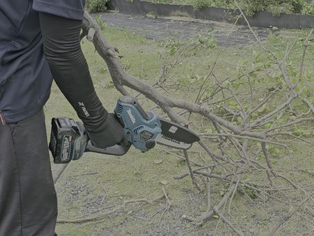 伐採工事🌳