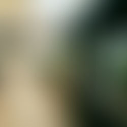 推動指定管理者制度之間的差異及影響