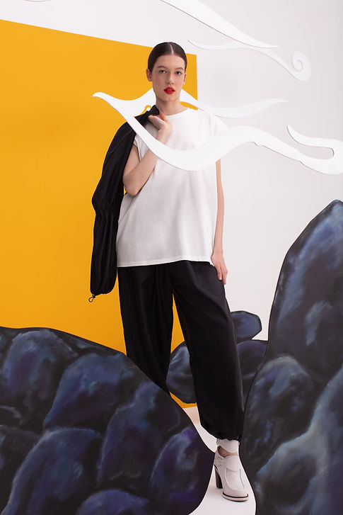 TEE 168 (PLUMINHA) + C 356 (CUERVO) (1).JPG