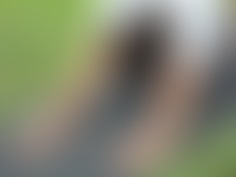 Como la práctica de yoga afecta en el comportamiento, entorno social y familiar de las personas con trastornos mentales