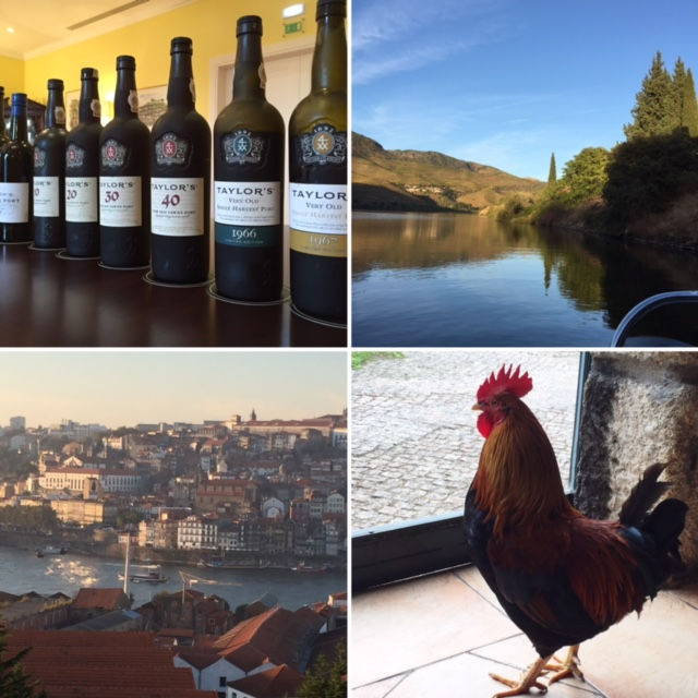 Aged Tawnies; Oporto view below