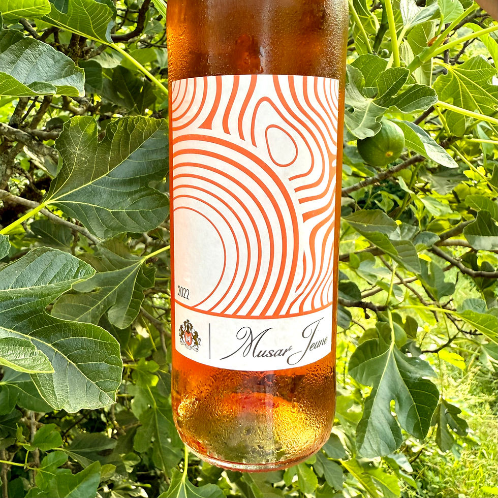 A bottle of Musar Jeune rosé wine from Lebanon