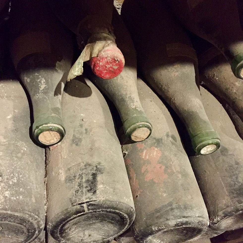 Dust-covered bottles in a wine cellar in Chile