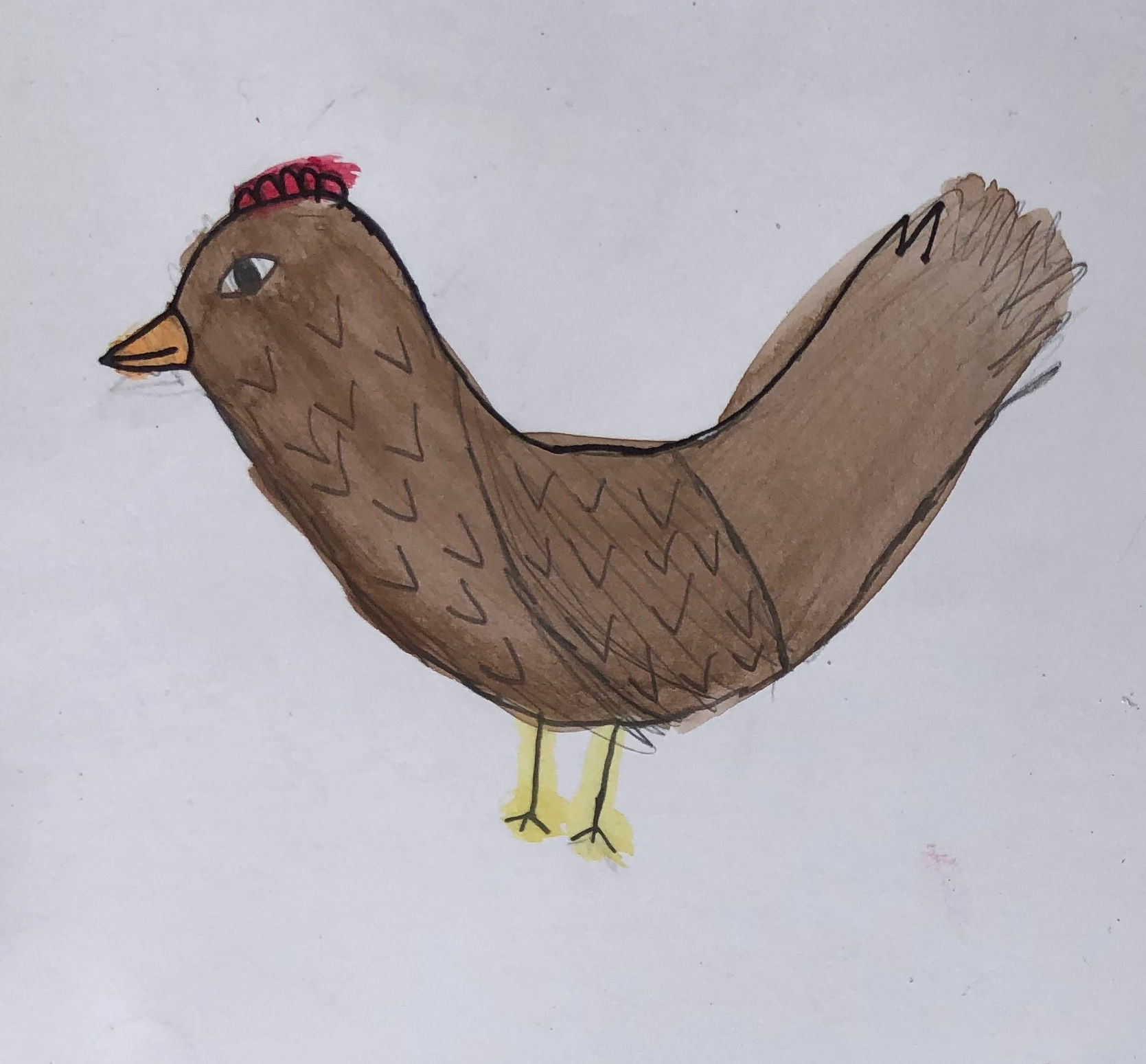 Brown chicken