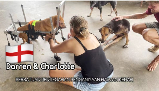 WeChat Image_20230616071028_edited.jpg