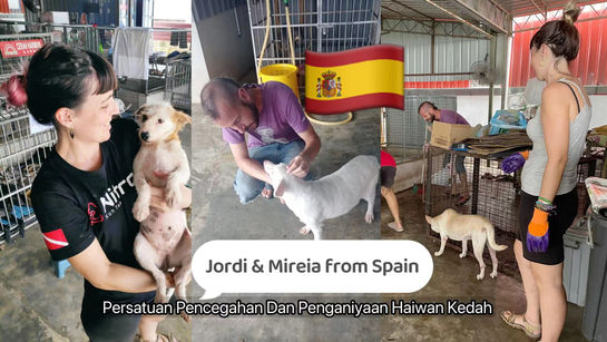 WeChat Image_20230615000625.jpg