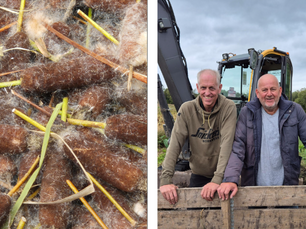 SEAD Artists Newsletter