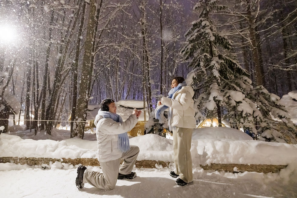 Furano Proposal Winter