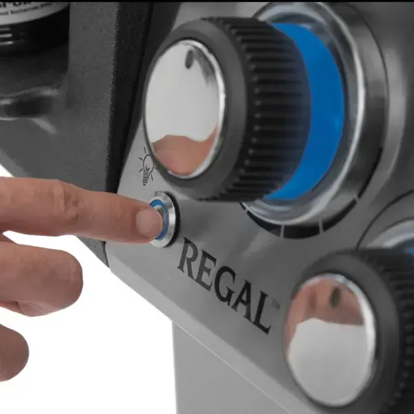 Sličica: BROIL KING Regal S490 plinski žar