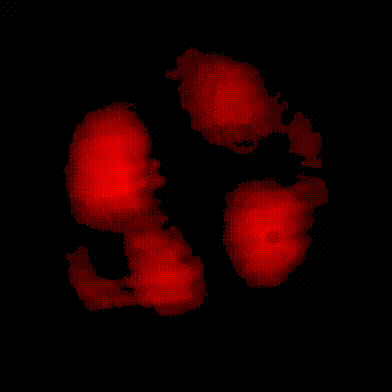 Fringe_rotation.gif