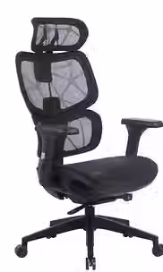 access-NEGRO_edited.jpg