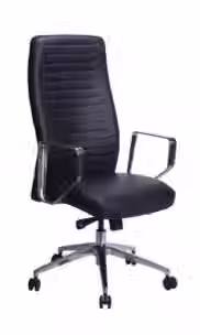 access-NEGRO_edited.jpg
