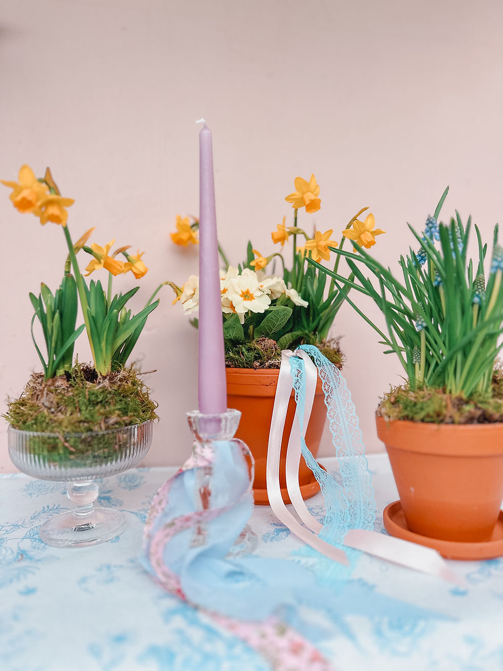 Thumbnail: Whistledown Spring Plants