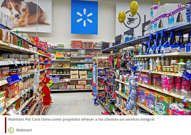 Walmart Web 2.jpg