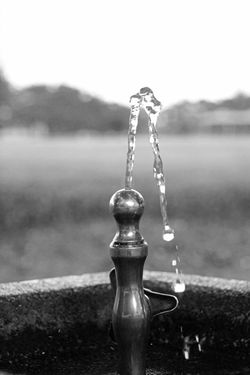 水飲み場